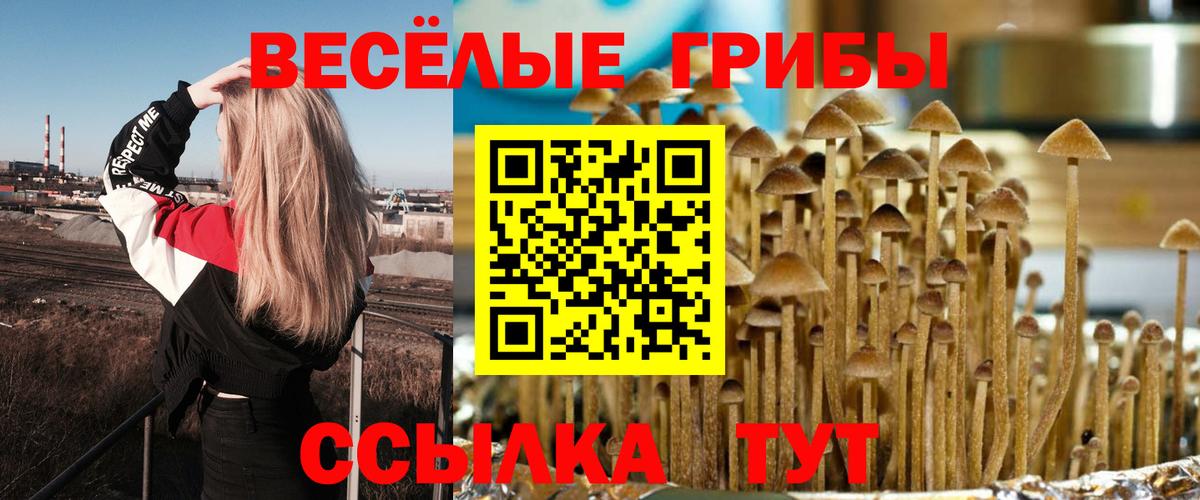 Псилоцибиновые грибы мицелий  Вход с VPN  Махачкала 